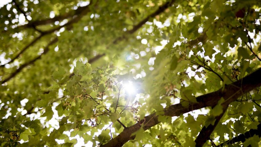 Zooming Out Featured Image